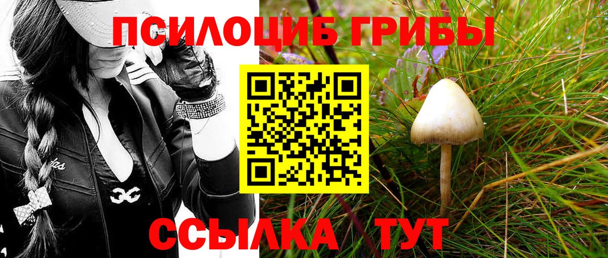 Псилоцибиновые грибы Cubensis  Вход с VPN  Оренбург 