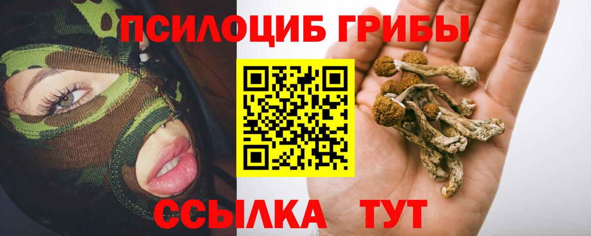 Псилоцибиновые грибы GOLDEN TEACHER Оренбург